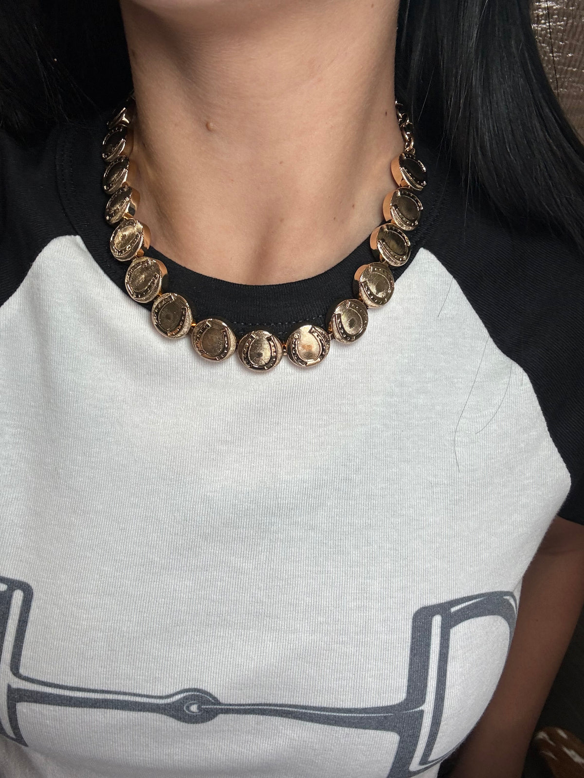 Horseshoe Medallion #1012-2 Necklace Gold