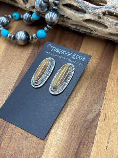 Ribbon Royston Turquoise Stud Earrings by Carlos Francisco, Navajo