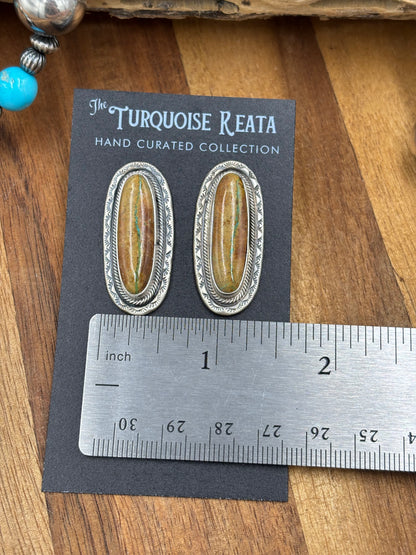 Ribbon Royston Turquoise Stud Earrings by Carlos Francisco, Navajo