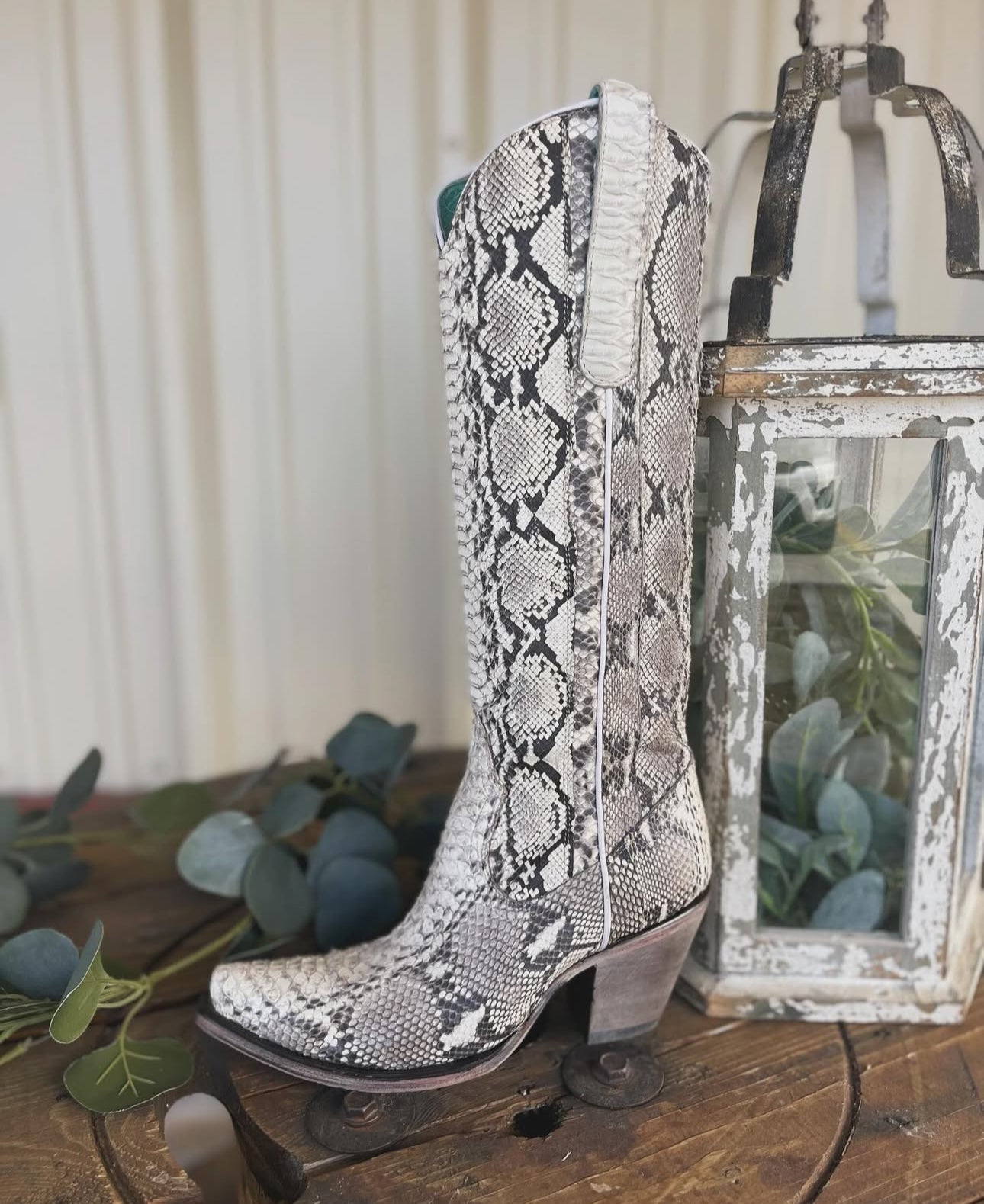 Corral Python Boots Sizes 6.5, 7
