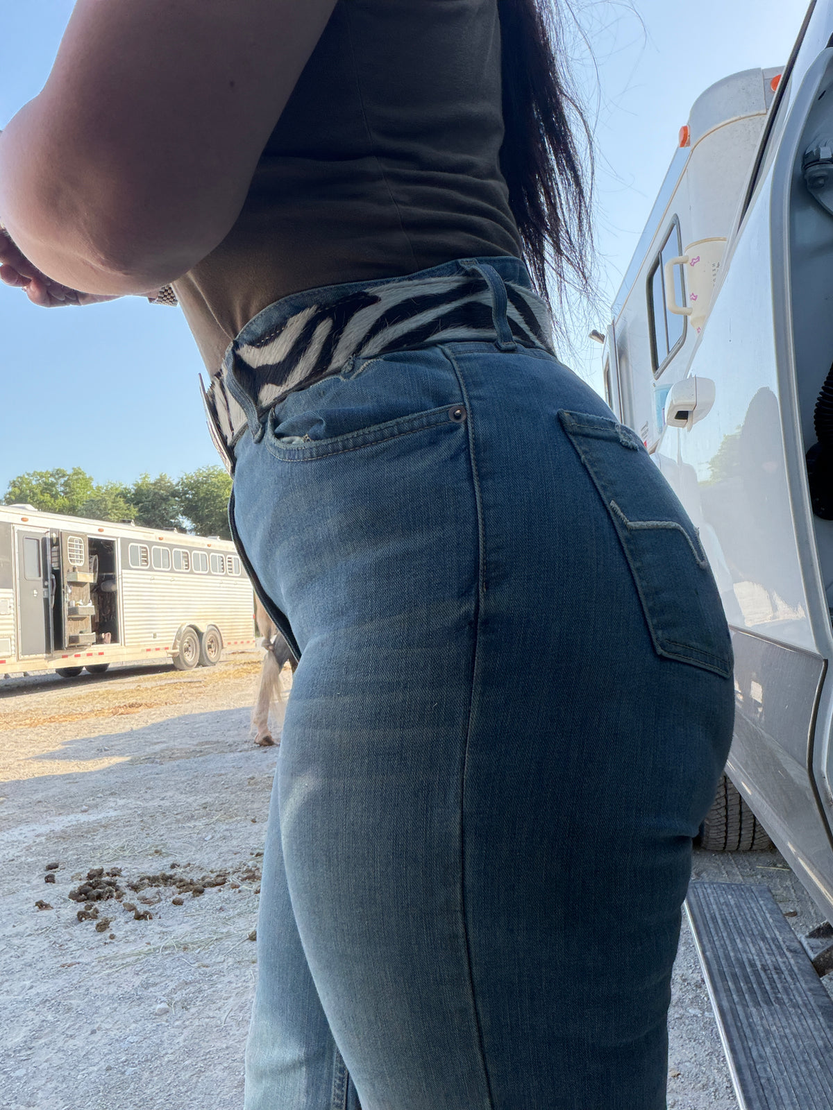 Zebra Hair on Hide Belt