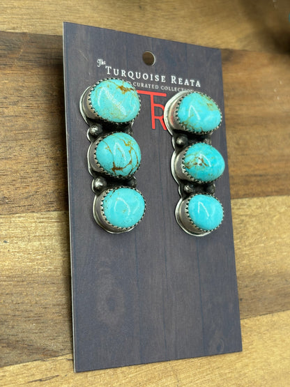 Kingman #927-3 Turquoise Earrings by Levi Hoskie, Navajo