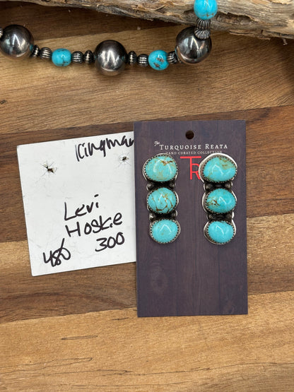 Kingman #927-3 Turquoise Earrings by Levi Hoskie, Navajo