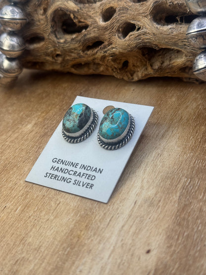Kingman Turquoise Stud Earrings C by Judith Dixon, Navajo
