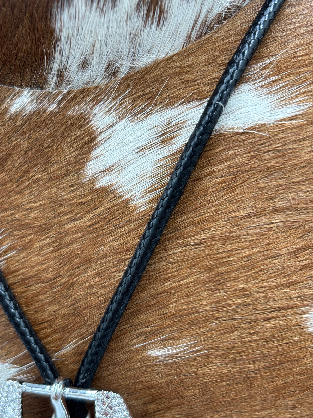 Silver Mini - Bolo Betty Necklace by Hillbetty