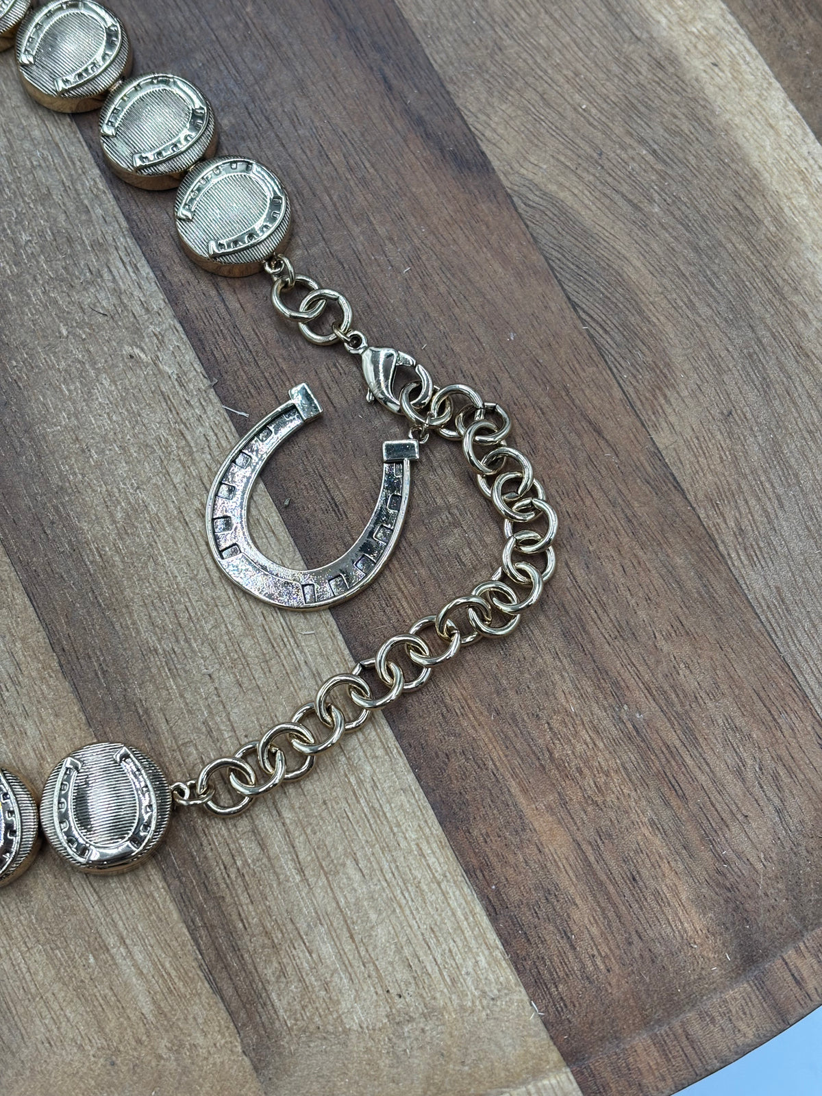 Horseshoe Medallion #1012-2 Necklace Gold