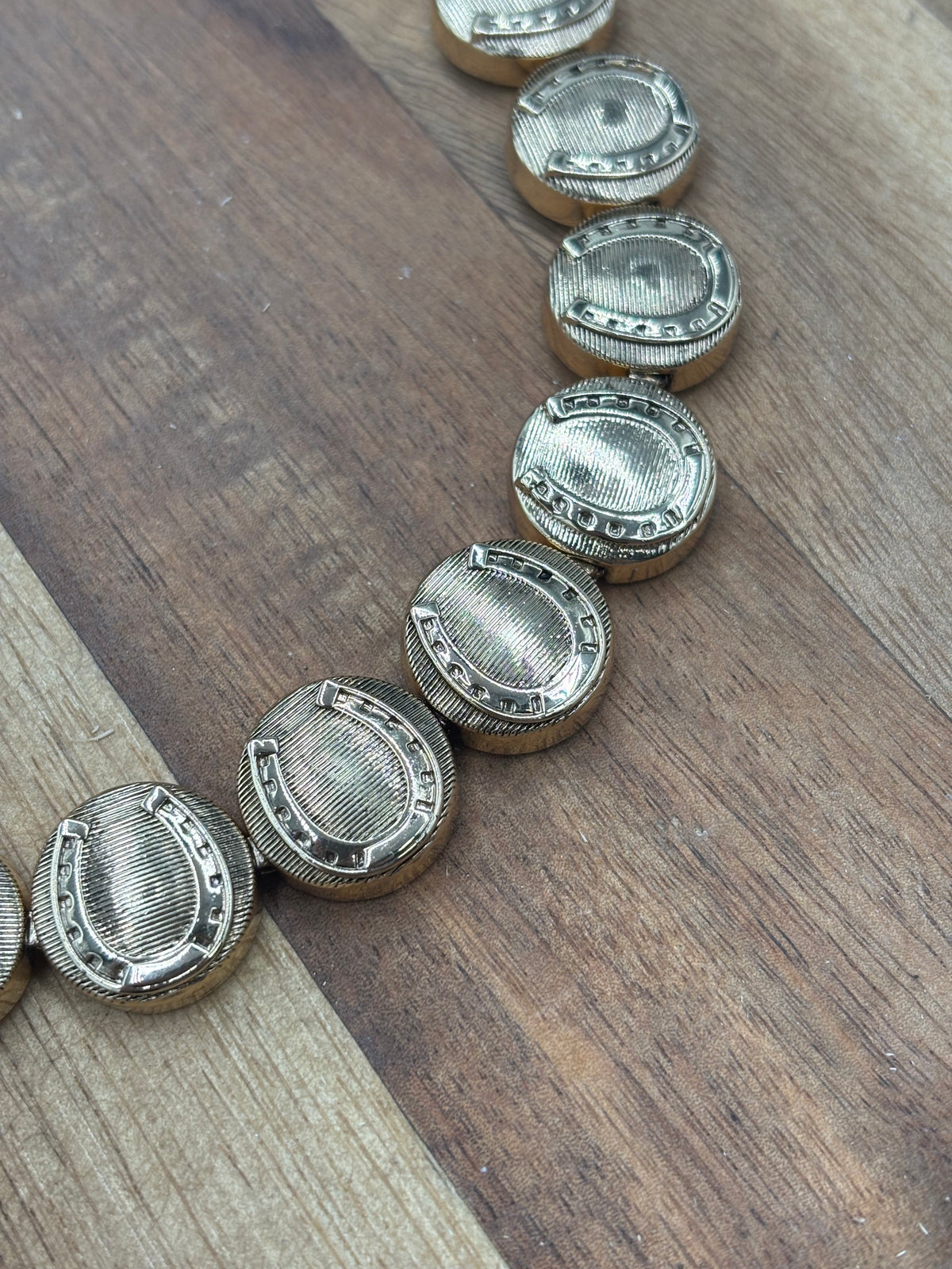Horseshoe Medallion #1012-2 Necklace Gold