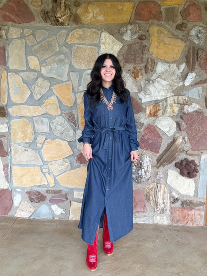 Shirley Dress by Tasha Polizzi