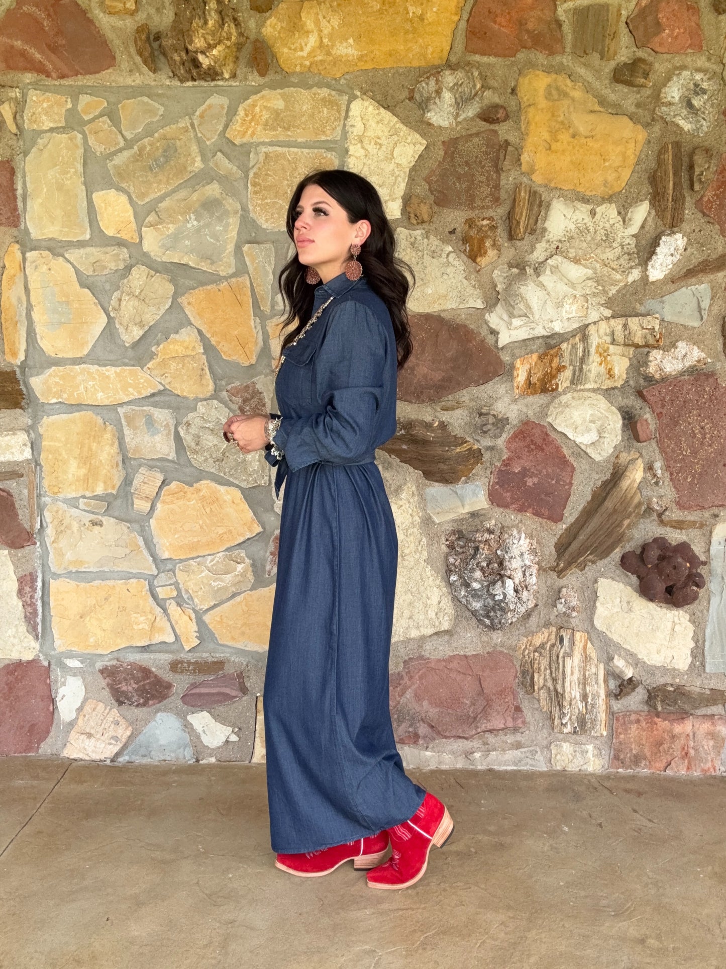Shirley Dress by Tasha Polizzi