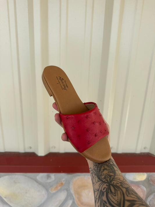 The Eva Red Genuine Ostrich Slide Sandal