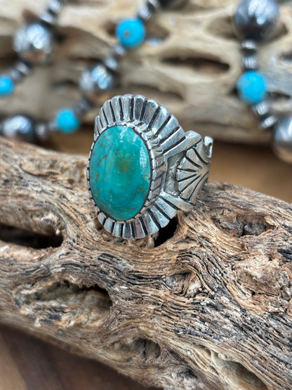 Turquoise Ring #5 size 12.5