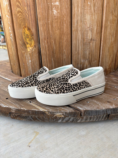 Women's Skylar Slip On Cheetah by Ariat