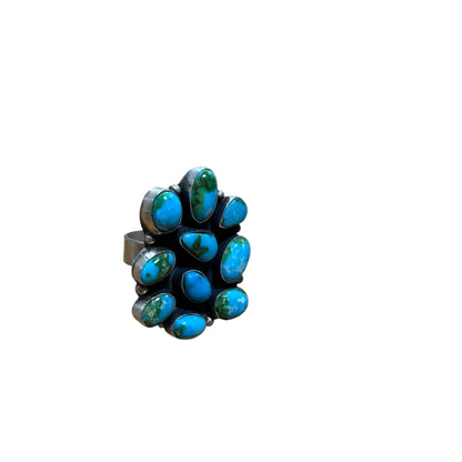 Sonoran Cluster Ring