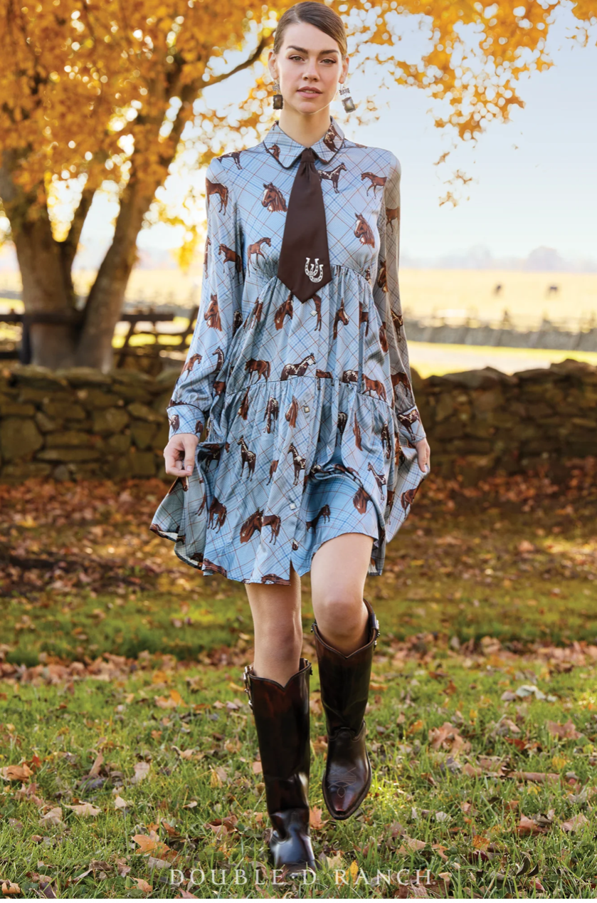 Dress Nu, rodeo