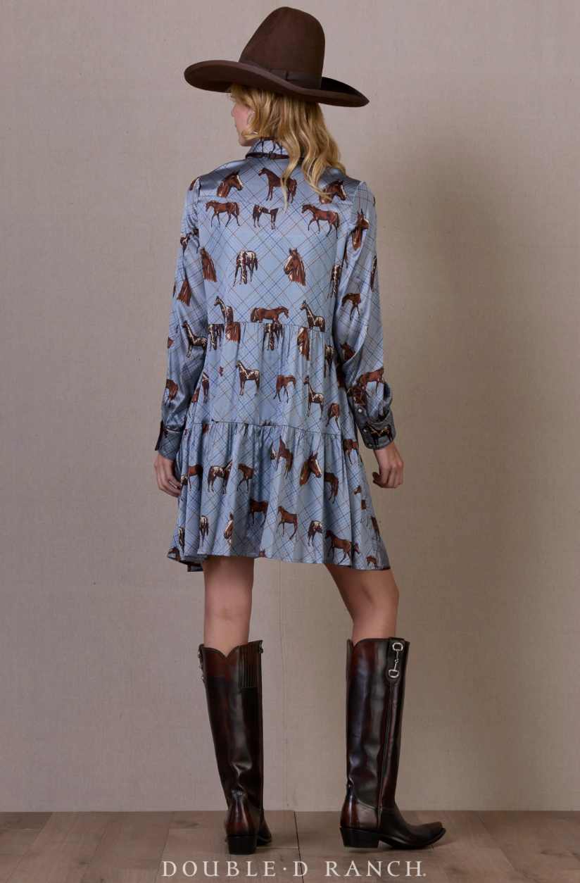 Dress Nu, rodeo